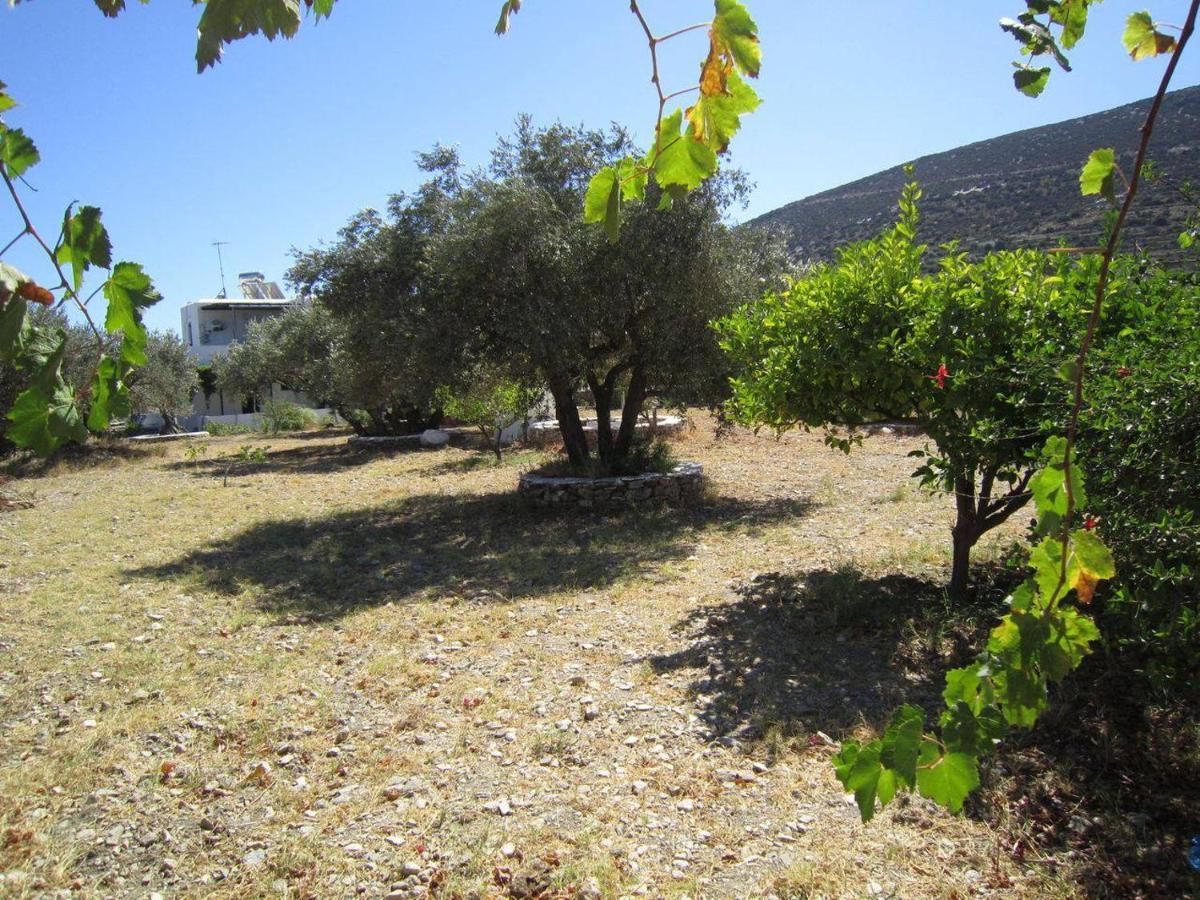 Elisso Villas Platis Gialos  Exteriér fotografie