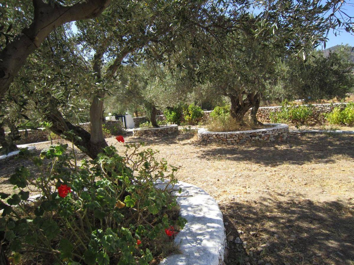 Elisso Villas Platis Gialos  Exteriér fotografie
