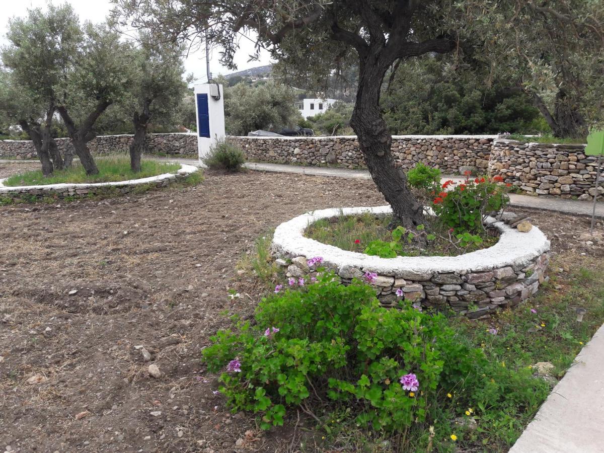 Elisso Villas Platis Gialos  Exteriér fotografie