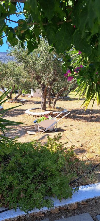 Elisso Villas Platis Gialos  Exteriér fotografie