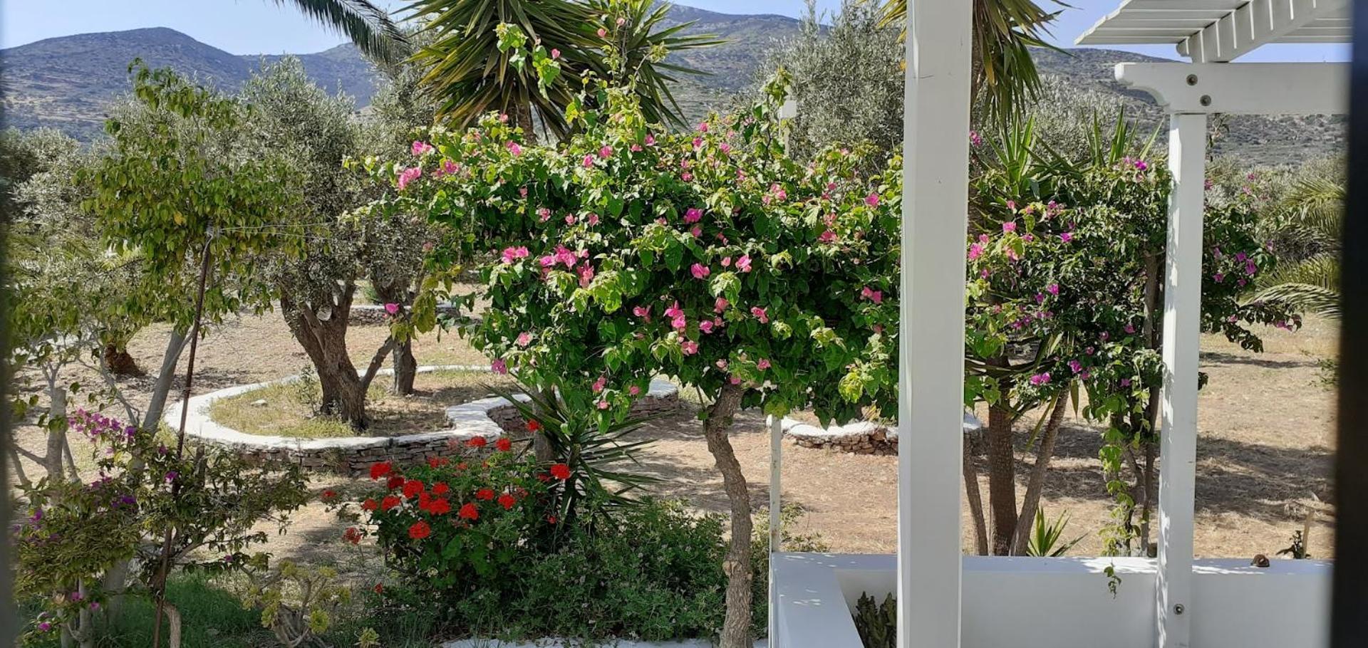 Elisso Villas Platis Gialos  Exteriér fotografie