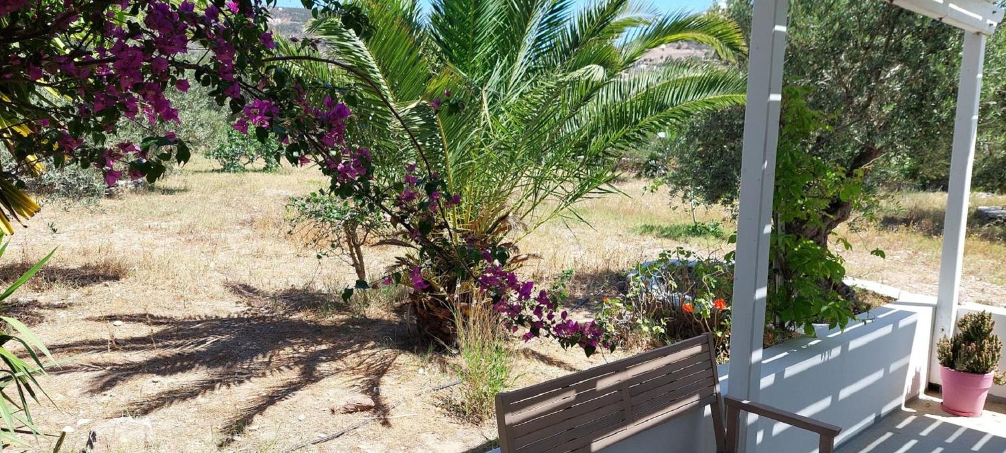 Elisso Villas Platis Gialos  Exteriér fotografie