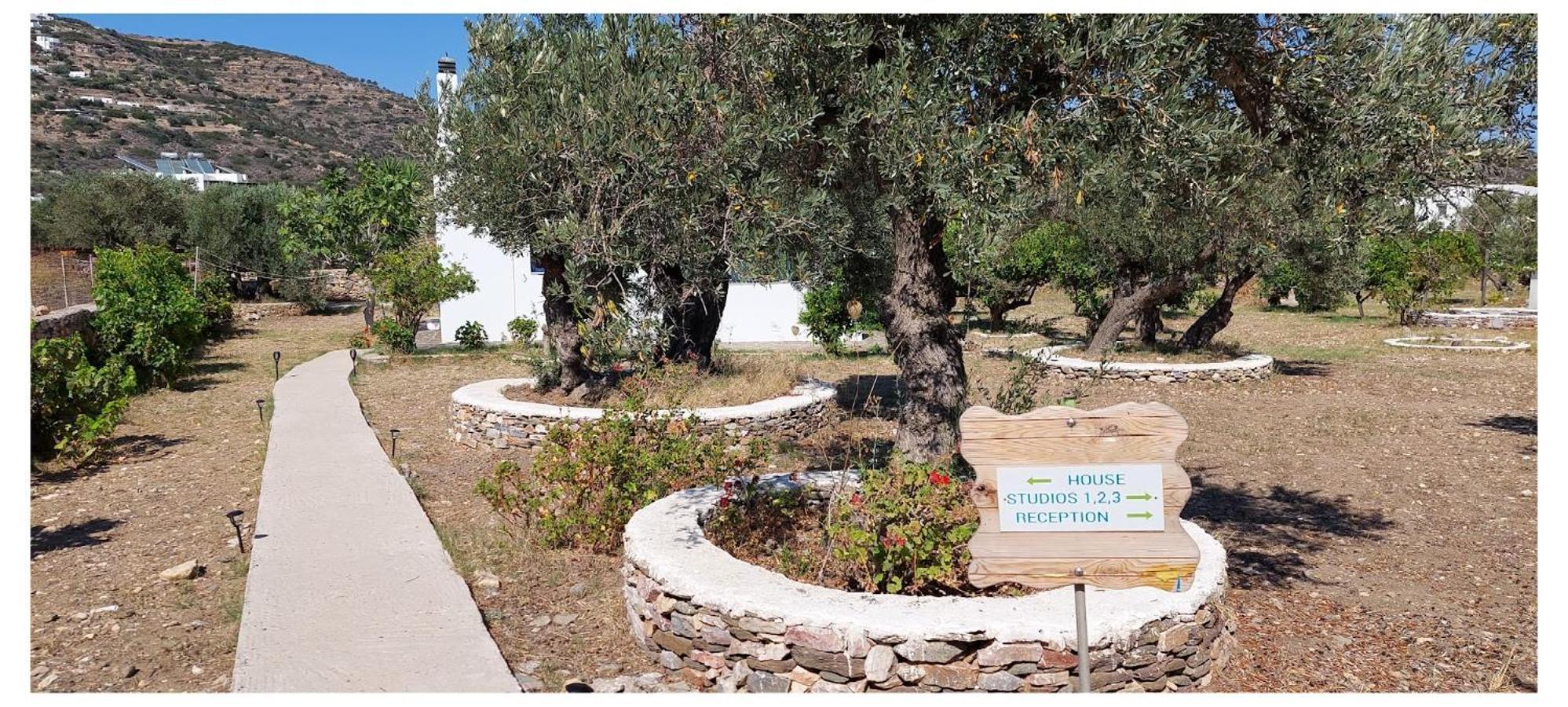 Elisso Villas Platis Gialos  Exteriér fotografie